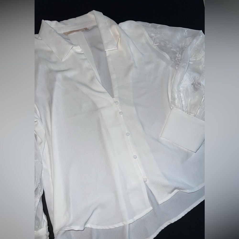 Soft Surroundings Lorenza Blouse with Sheer Eyelet Sleeves Size XL EUC - Picture 2 of 9